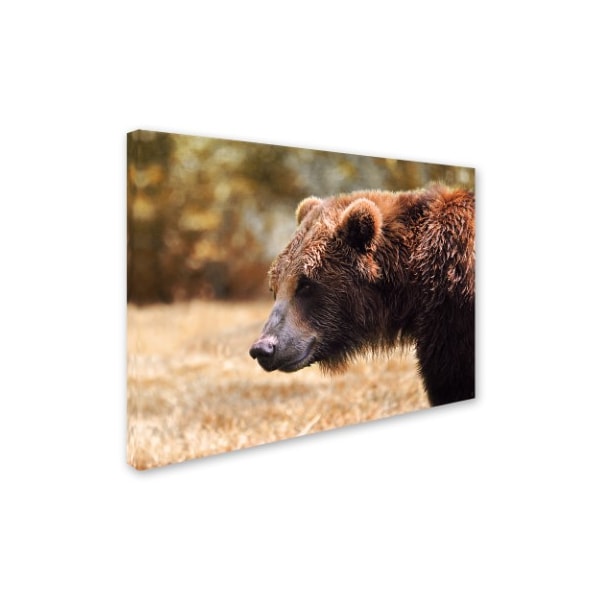 Jai Johnson 'Grizzly Watch' Canvas Art,18x24